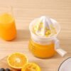 Cranked Juicer Hand Putar Alat Jeruk Peras Manual Citrus Orange Lemon Squeezing.