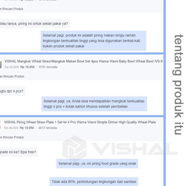 Set Mangkuk Tempat Makan Anak - Wheat Straw Character Bowl for Toddler Mangkuk Binaural VS-13